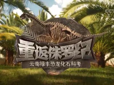 《重返侏罗纪·云南禄丰恐龙化石科考发掘》：穿越亿万年一起探索远古奥秘