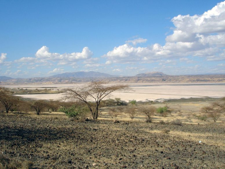 《地质学》：从肯尼亚裂谷盐碱湖收集的沉积物提供不寻常的裂谷湖泊系统古环境记录