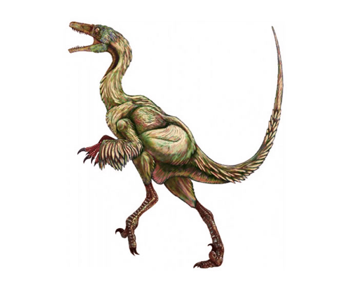 巴彦淖尔市发现的兽脚类恐龙化石为伤齿龙科新属种——内蒙古蝶猎龙