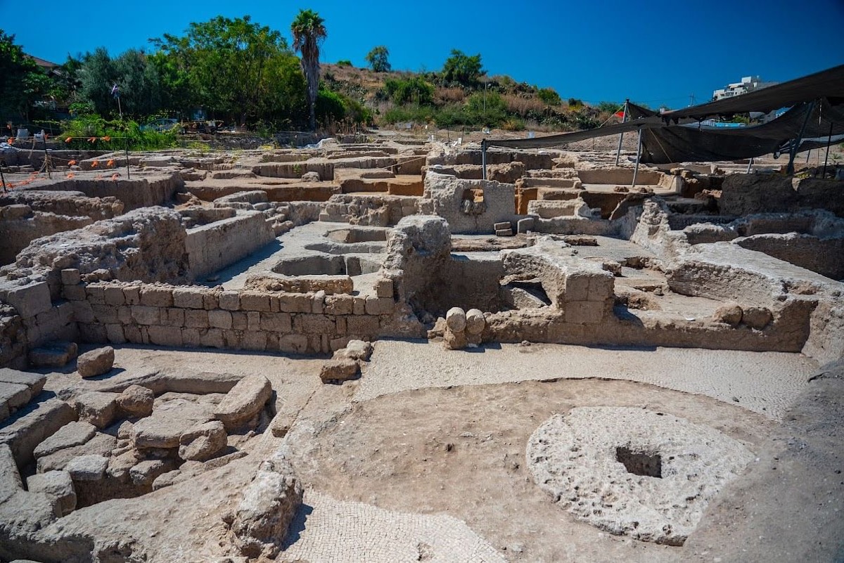 考古学家在以色列亚夫纳遗址发现中世纪拜占庭时期葡萄酒厂废墟