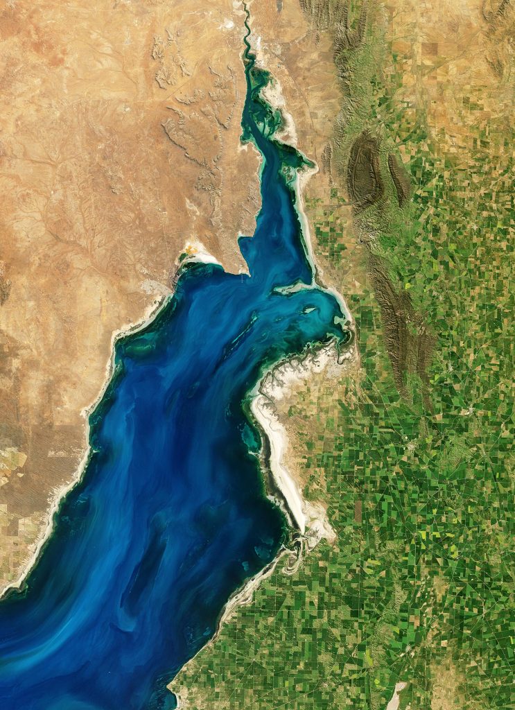 卫星图像显示澳大利亚巨型乌贼在南澳大利亚海岸阿德莱德西北部的福斯湾大规模产卵