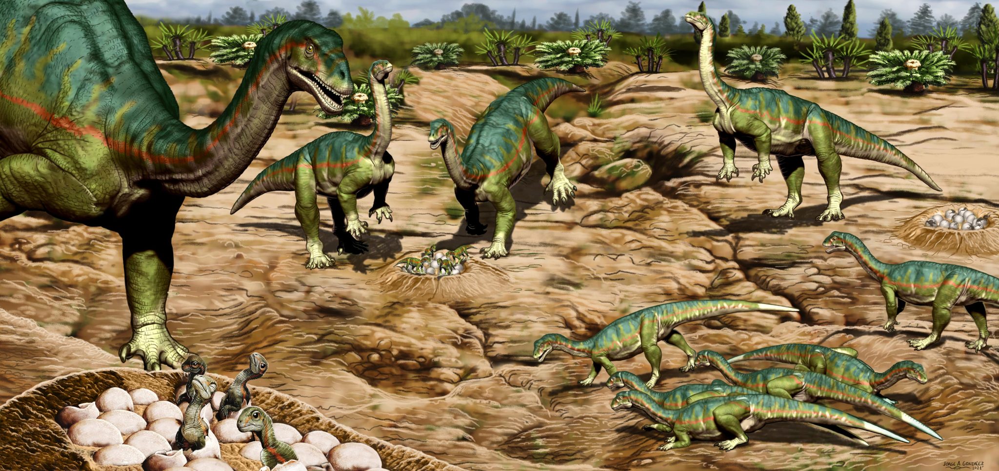 最新研究显示早在1.93亿年前恐龙就有复杂的群居行为