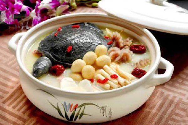 乌龟汤的功效与作用 一起煲汤的材料有哪些
