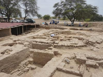秘鲁近海城市兰巴耶克一个遗址发现29副骸骨 其中4副与瓦里文明有关