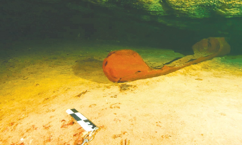 墨西哥尤卡坦半岛被水淹没的喀斯特洞穴中发现建于公元9至10世纪玛雅时期的独木舟