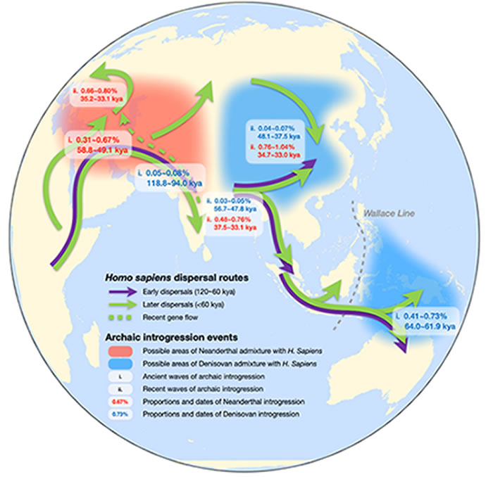 现代人类史前迁徙路线及其与远古人类的基因交流模式示意图