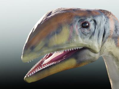 双足恐龙Issi saaneq生活在2.14亿年前的格陵兰岛