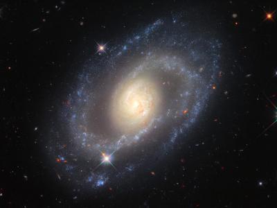 哈勃太空望远镜图片展示位于室女座的螺旋星系Mrk 1337