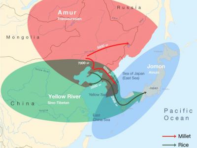 最新研究将泛欧亚语系的语言传播与东北亚新石器时代早期的农业人群联系起来