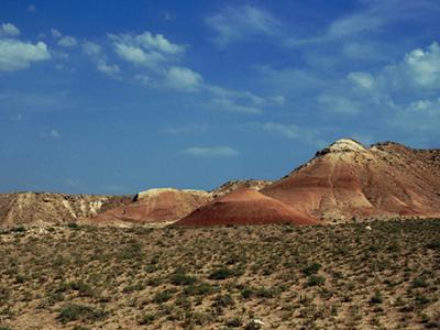 内蒙古二连盆地中始新世地层中的一类原始偶蹄类化石——二连豨