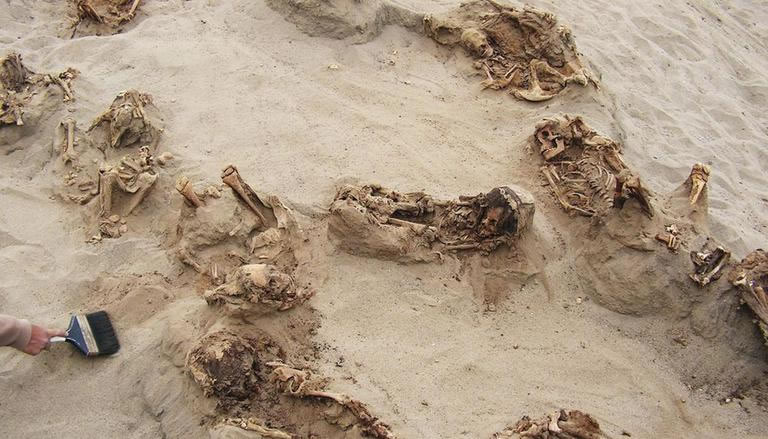 秘鲁的昌昌古城发现一座历史可追溯至15世纪的乱葬岗