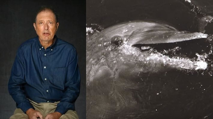 美国70岁男作家布伦纳Malcolm J. Brenner自曝曾与母海豚Dolly发生性关系