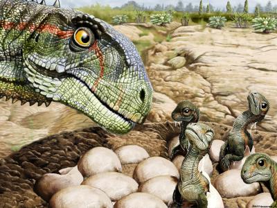 阿根廷巴塔哥尼亚发现的大量化石提供恐龙群居生活的最早证据