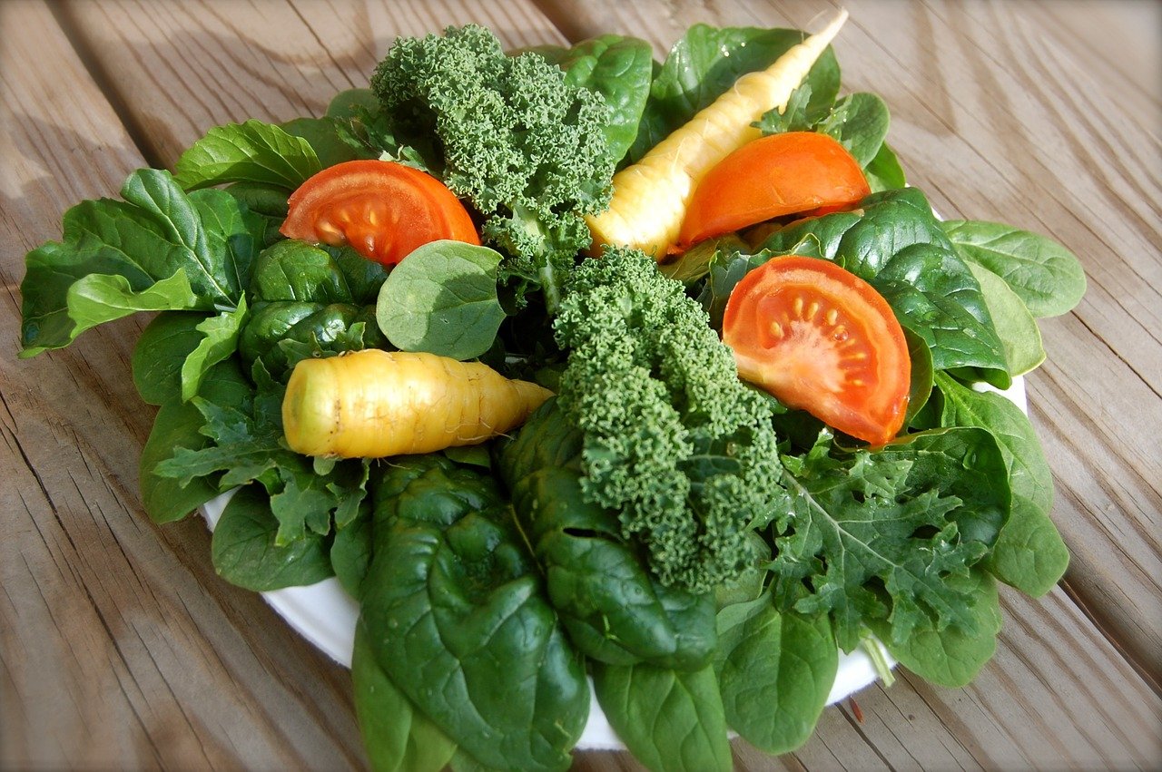 《BMJ病例报告》：以深绿色多叶蔬菜为主的植物性饮食缓解慢性偏头痛