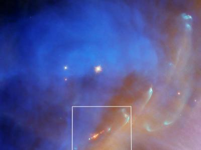 来自一颗新形成的恒星的喷流向反射星云NGC 1977深处闪耀