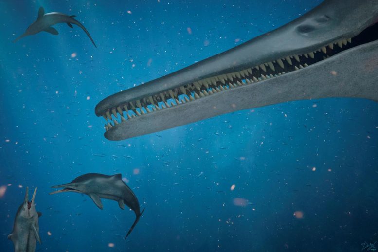 哥伦比亚发现1.3亿年前的海洋爬行动物——鱼龙Kyhytysuka