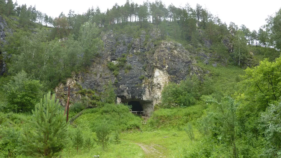 西伯利亚的丹尼索瓦洞穴中发现古人类骨骼化石 属于尼安德特人和丹尼索瓦人