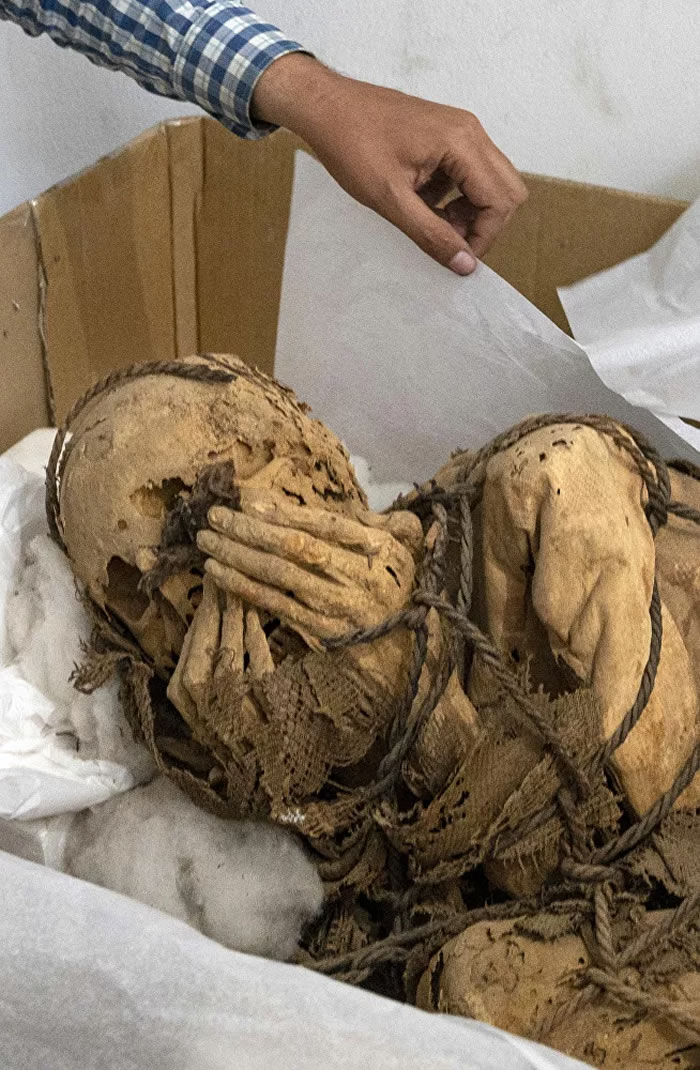 秘鲁古墓中出土一具双手被绳子捆绑的木乃伊干尸