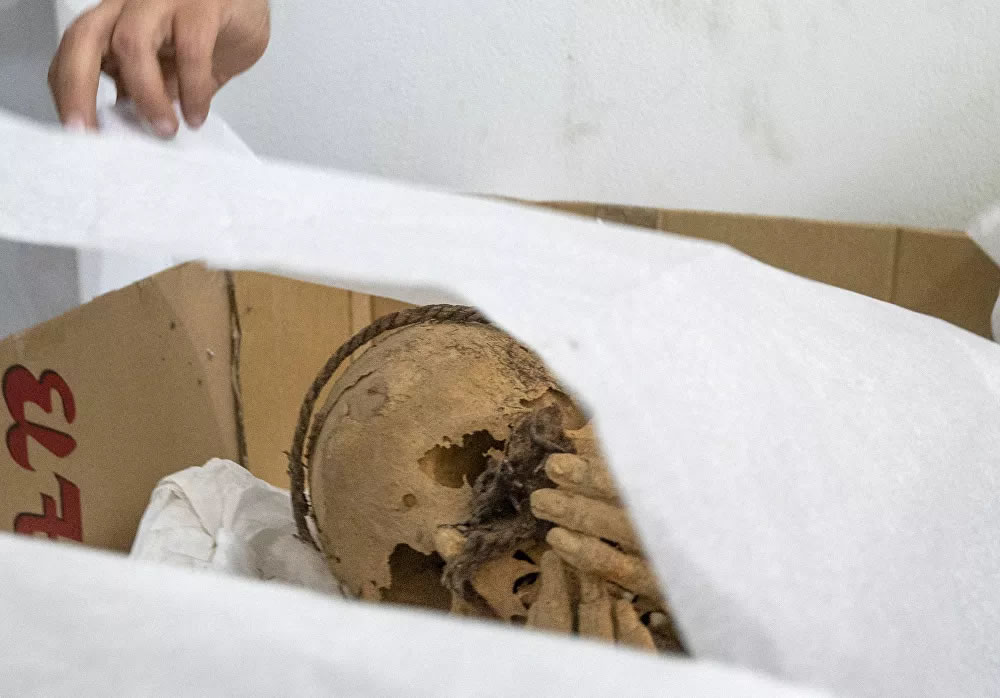秘鲁卡哈马奎拉考古发掘区出土的木乃伊干尸