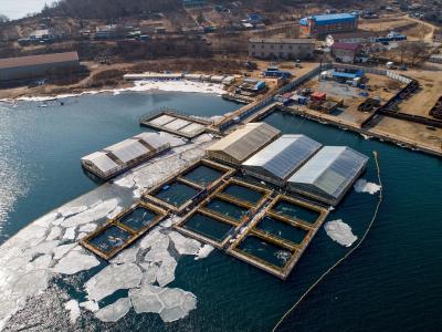位于俄罗斯远东地区斯雷德尼亚湾的“鲸鱼监狱”已被完全拆除