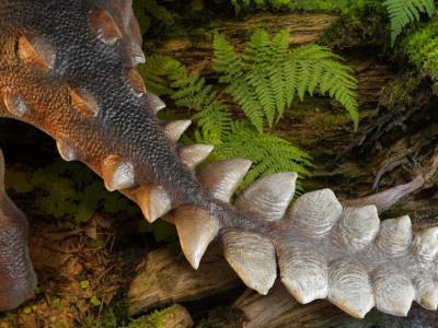智利发现生活在白垩纪晚期的恐龙新物种Stegouros elengassen 有着像剑一样的尾巴