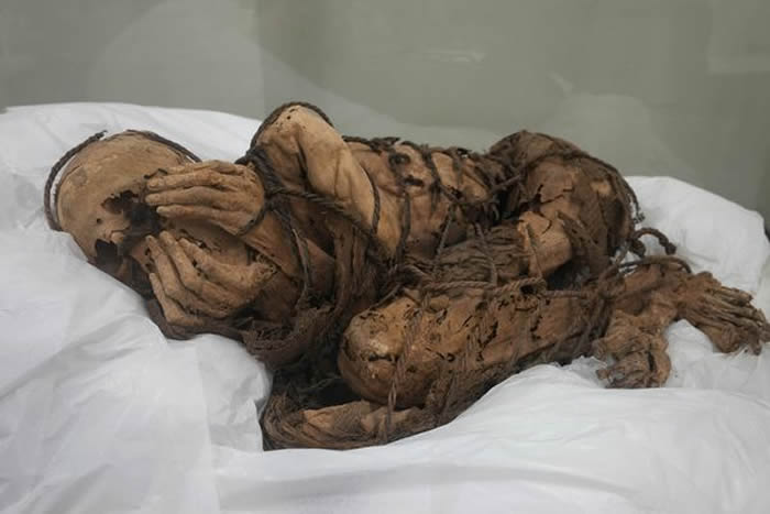 秘鲁首都利马附近出土800年历史保存完好的木乃伊 全身被绑双手捂脸屈膝
