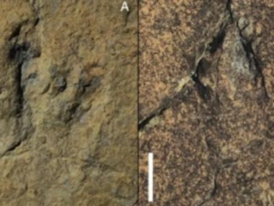 西班牙拉里奥哈发现一批恐龙足迹化石 它们的奔跑速度或接近每小时45公里
