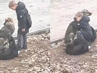 上学途中遇到流浪狗在路边晒太阳 俄罗斯男童走过去给它拥抱