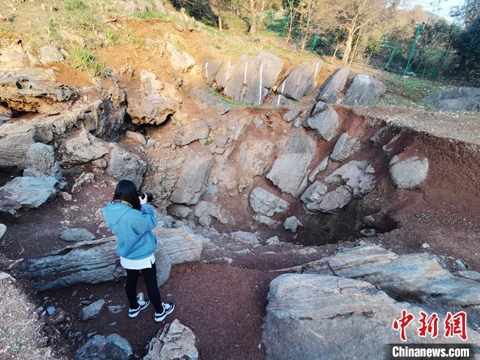 11月30日，相关工作人员在安徽华龙洞遗址(命名为1号地点)周边拍照。位于安徽省池州市东至县境内的华龙洞遗址，是继北京周口店之后在中国发现的人类化石数量最为丰富