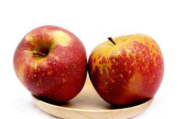 丑苹果的功效与作用 就是糖心病苹果吗