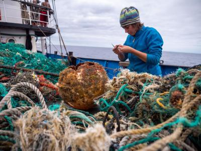 《自然通讯》：大量海洋塑料垃圾已成为海岸生物的人工栖息地 学者忧成生态陷阱