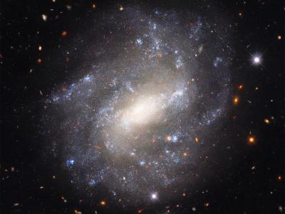 哈勃太空望远镜拍摄的孤独螺旋星系UGC 9391