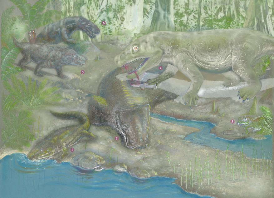 复原图：二叠纪的丽齿兽咬杀吞食大型植食兽足类，两者都在二叠纪末大灭绝中灭亡。绘制：郭肖聪