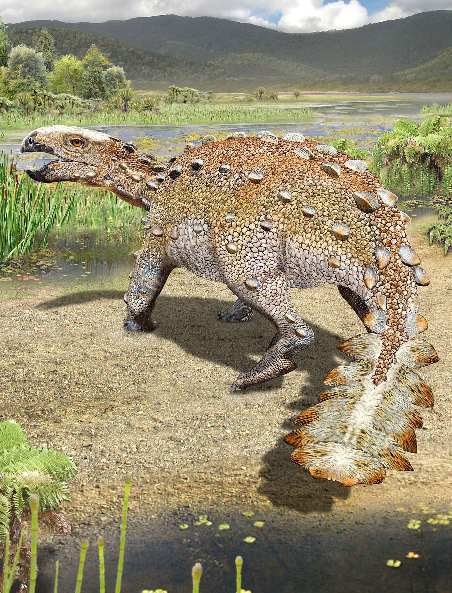智利出土的7300万年前新种恐龙——伊伦盖森覆尾龙尾巴有如黑曜石砍刀
