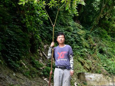 西藏墨脱县发现全亚洲最高的秋海棠品种 正在申请吉尼斯世界纪录