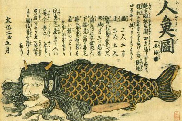 日本人活吃美人鱼的真实照片 网传十分的血腥恐怖