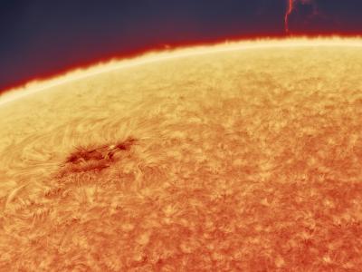 天体摄影师安德鲁·麦卡锡成功拍摄到太阳表面的"等离子体树"