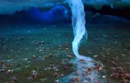 恐怖的南极死亡冰柱,疑似地球生命的起源之地
