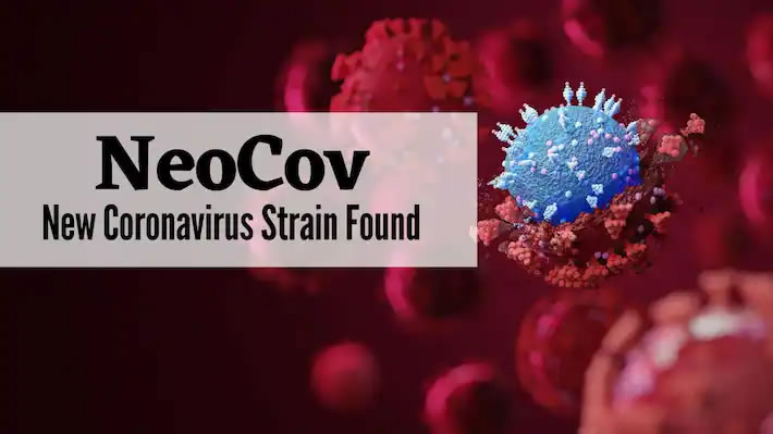 中国科学家发现在南非发现的冠状病毒“NeoCoV”有渗透到人群中的风险