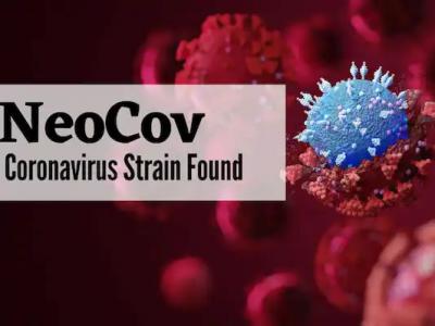 中国科学家发现在南非发现的冠状病毒“NeoCoV”有渗透到人群中的风险
