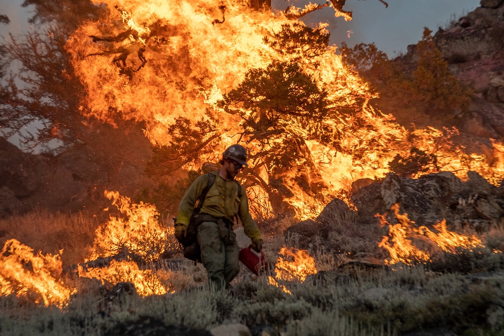 美国加州去年发生的迪克西（Dixie）野火，是加州有史以来规模第二大的野火。图片来源：Joe Bradshaw, BLM／National Interagenc