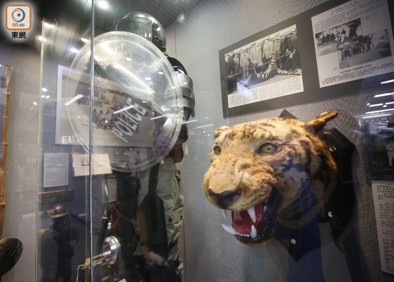 警队博物馆摆放曾咬死警察的老虎虎头标本