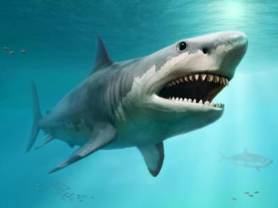 《历史生物学》：神秘巨齿鲨的身体形态仍然处于猜测的范畴