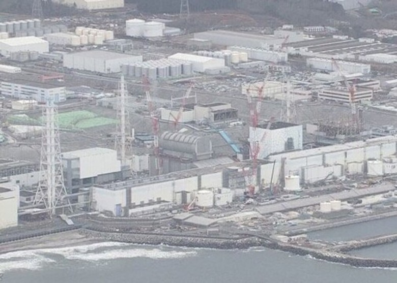 辐射超标：日本政府要求福岛县暂停销售在当地近海捕获的鱼类“许氏平鮋”