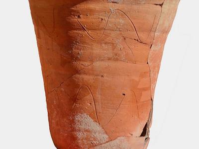考古学家通过寄生虫卵推断公元5世纪古罗马陶器曾是人类便盆