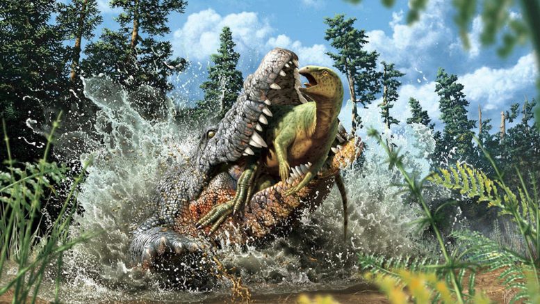 澳大利亚昆士兰发现的9300万年前“杀手”鳄鱼吞食了一只恐龙幼崽