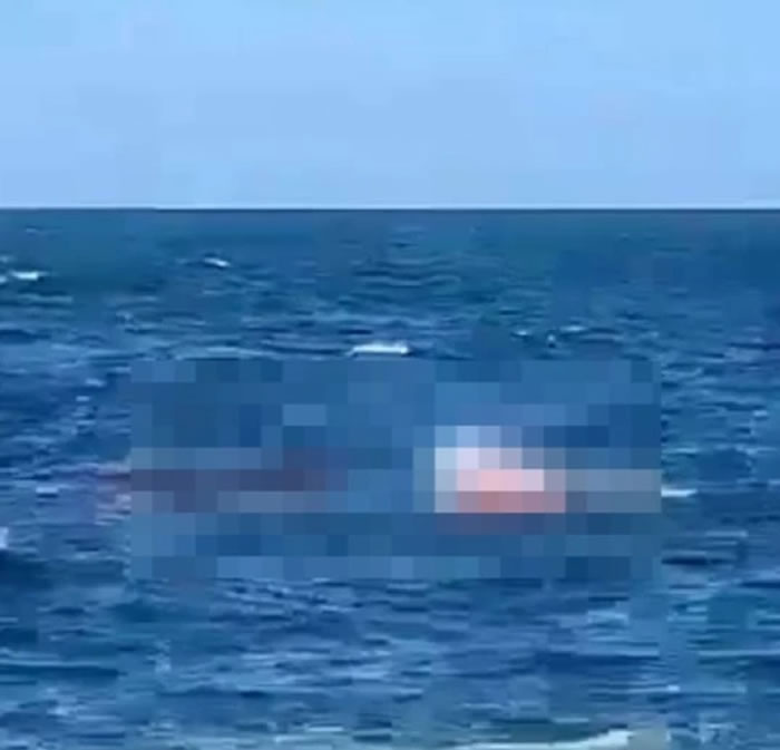 澳洲悉尼小湾海滩一名男泳客遭4.5公尺长鲨鱼活生生撕裂成2半