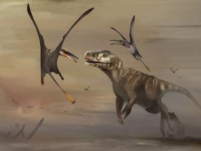 苏格兰的斯凯岛新发现1.7亿年前的飞行爬行动物翼龙化石