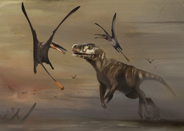 英国苏格兰斯凯岛海岸发现侏罗纪时期体形最大翼龙化石