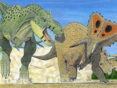 霸王龙不是暴龙属唯一物种 最新研究指还有帝王和女王两种暴龙